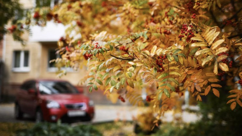   РИА Новости