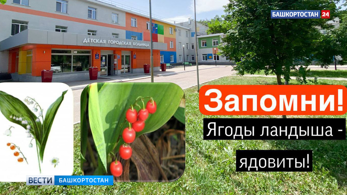    Счет на секунды: малыш отравился ягодами ландыша в Башкирии