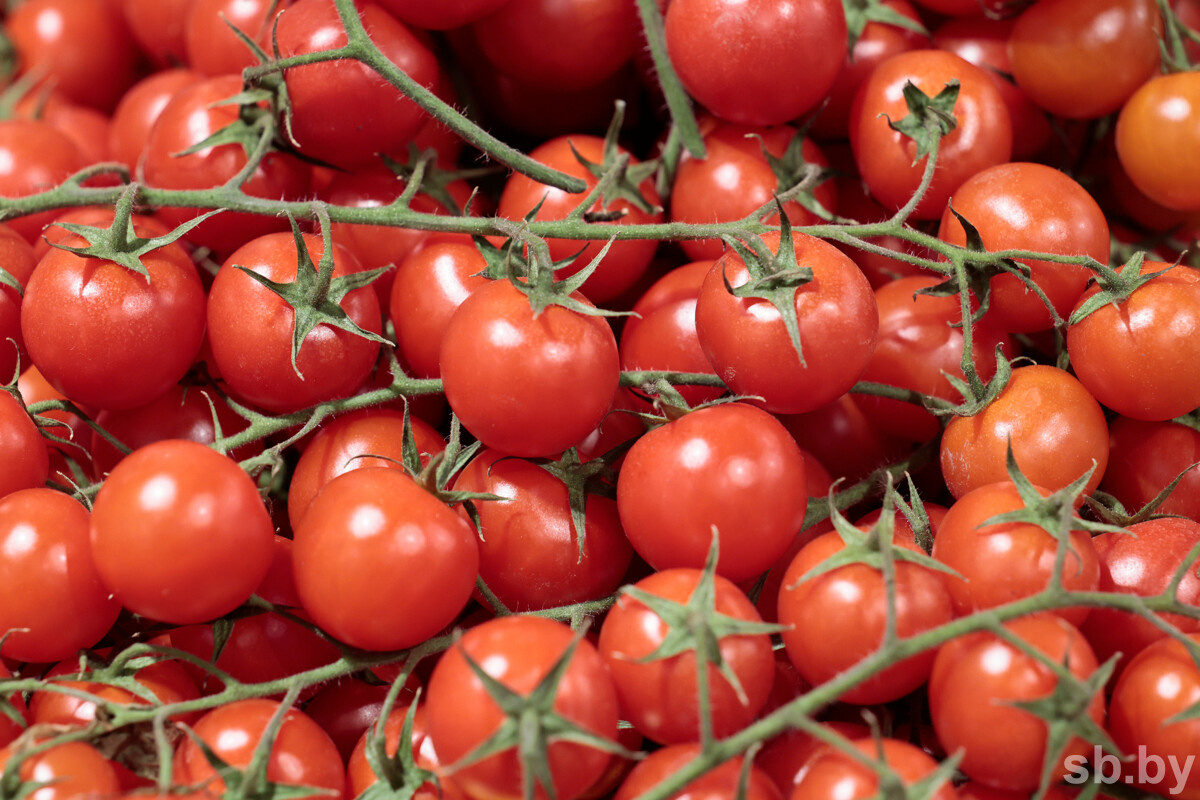 Фото из архива «СБ»