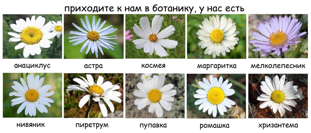 Шутки шутками...