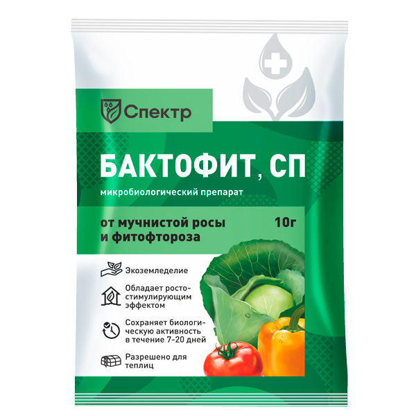 Бактофит от фитофтороза и мучнистой росы