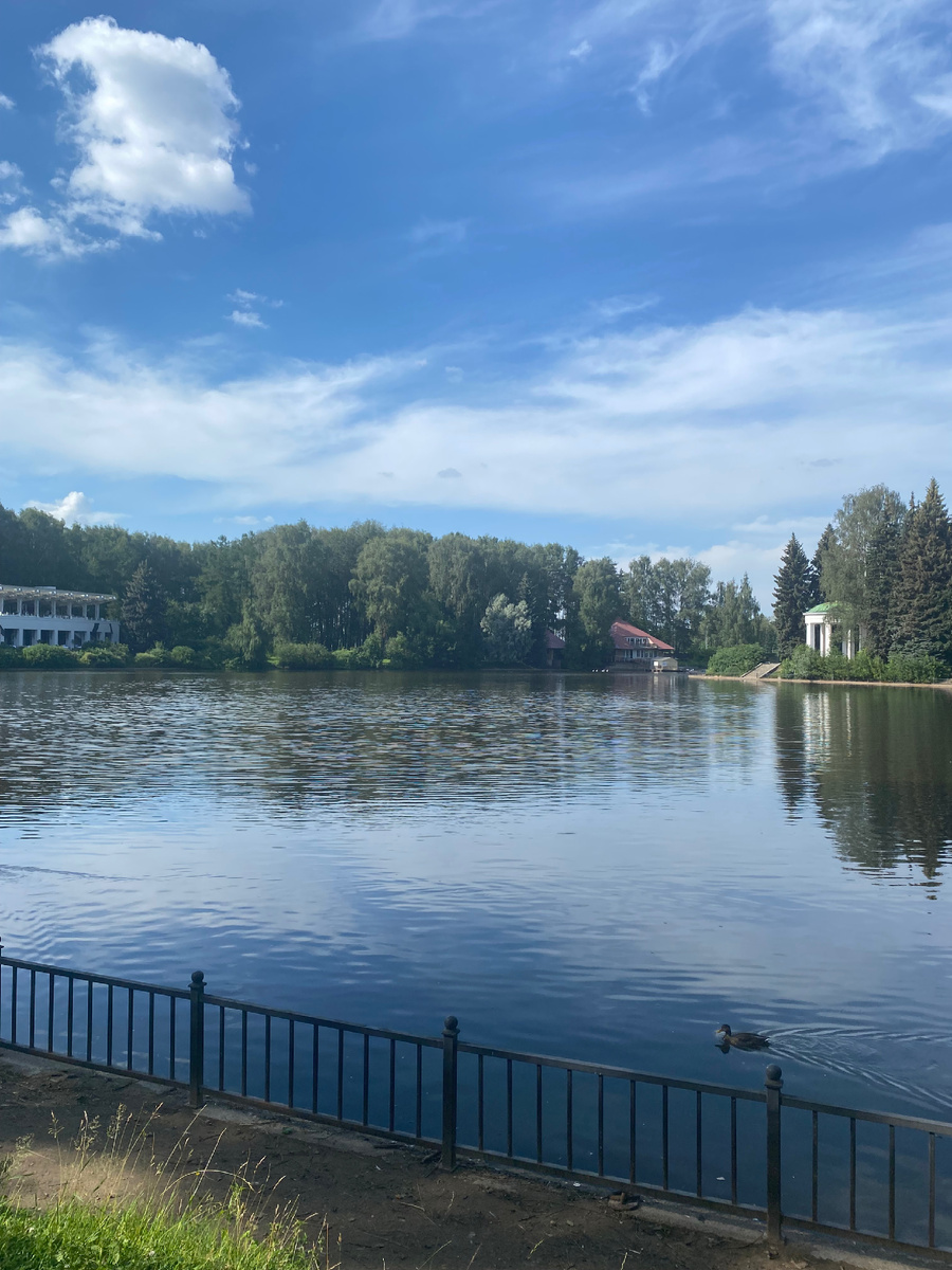 Парк в Санкт-Петербурге. Фото из личного архива 
