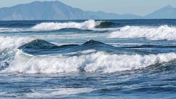    © Sputnik / Александр Пирагис