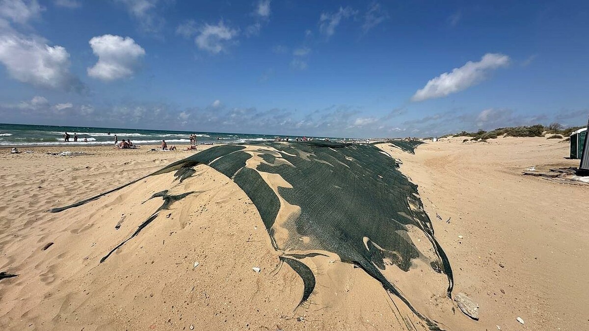    Фото: телеканал «Краснодар»