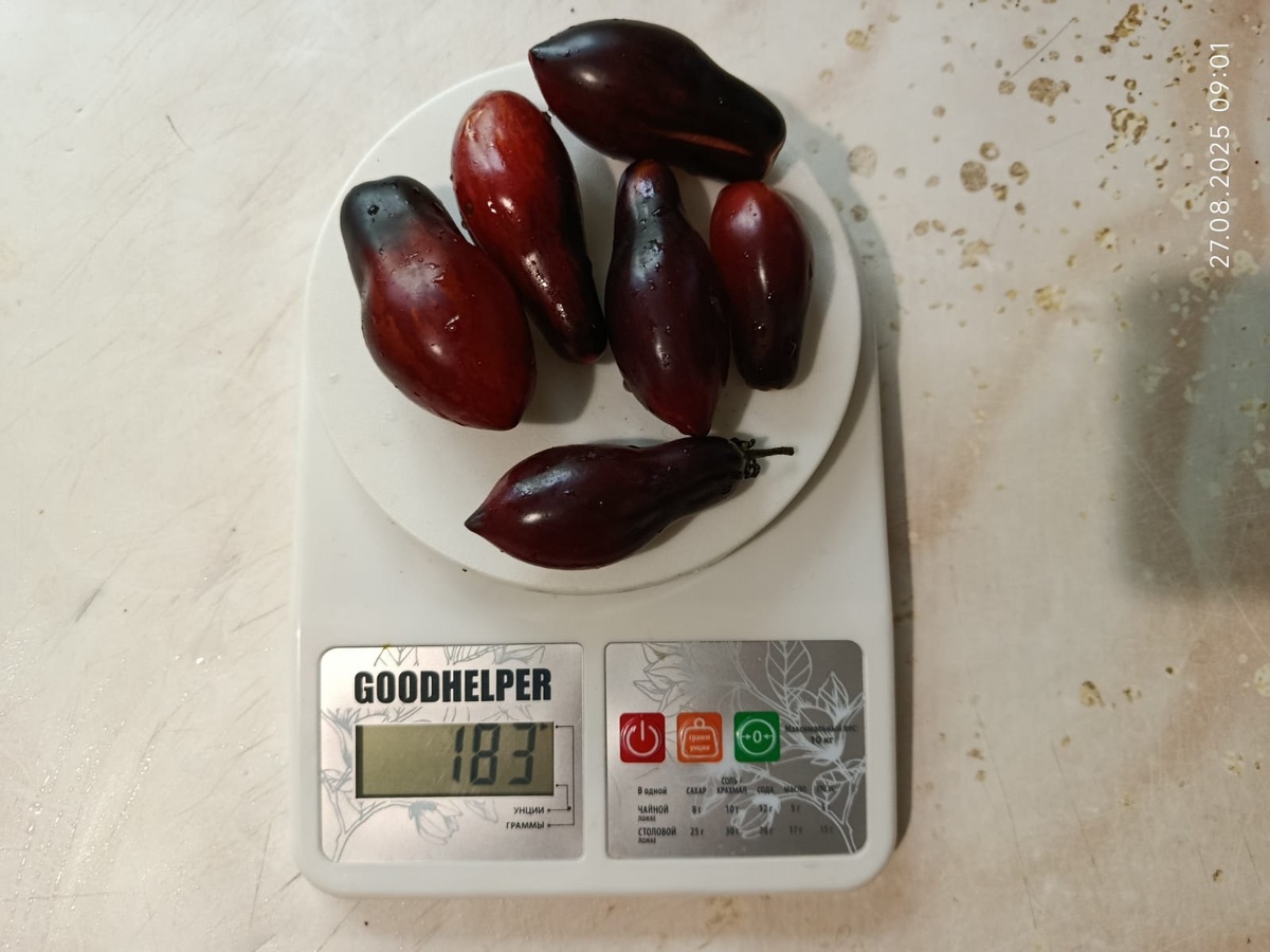 вес одной помидорки 30-40 грамм