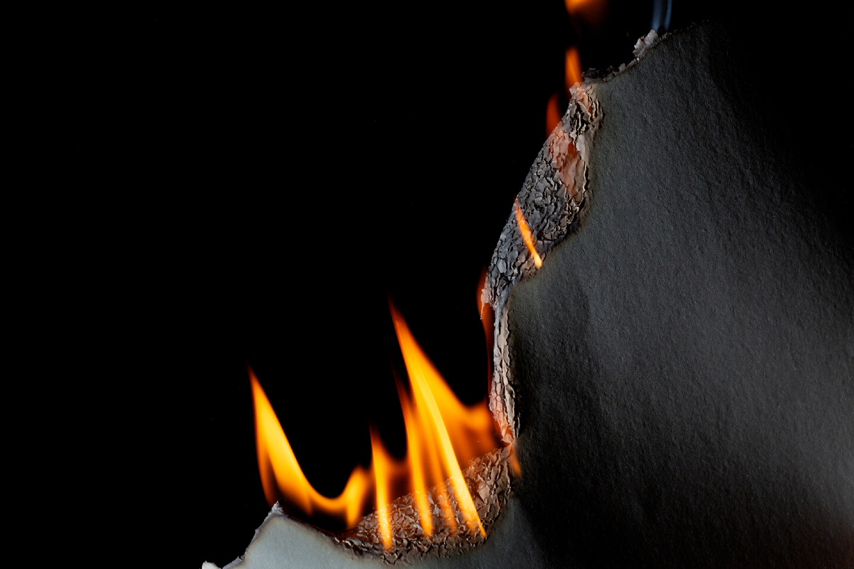 Источник: ru.freepik.com