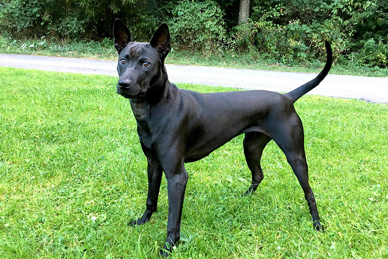 Ее Величество, Нефертити.