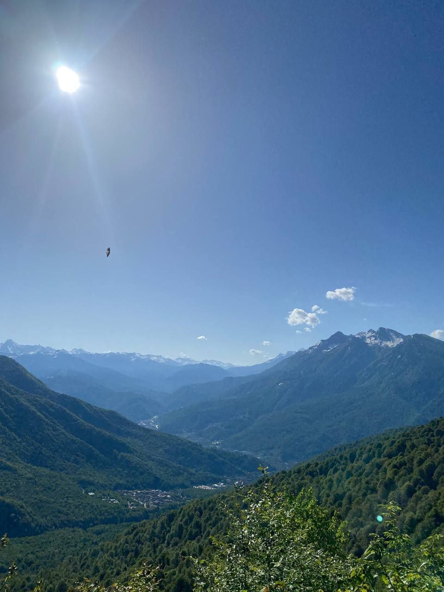 Греческий обзор.