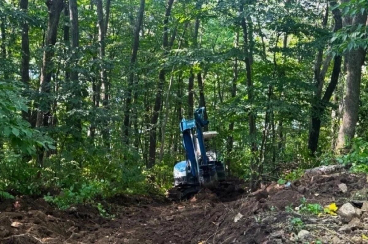    Во Владивостоке начали второй этап благоустройства парка Снеговая Падь