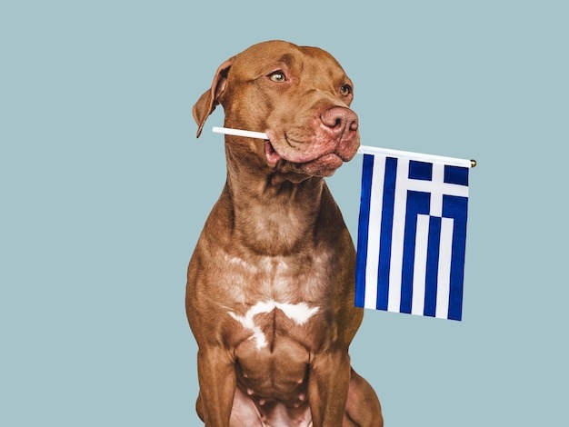 Красавица Гера.