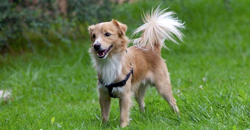 Прекрасная Афина.