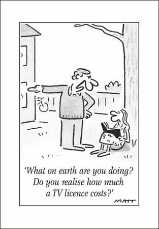 Карикатура. "Ты еще что удумала? Знаешь, сколько стоит телелицензия?", Pinterest