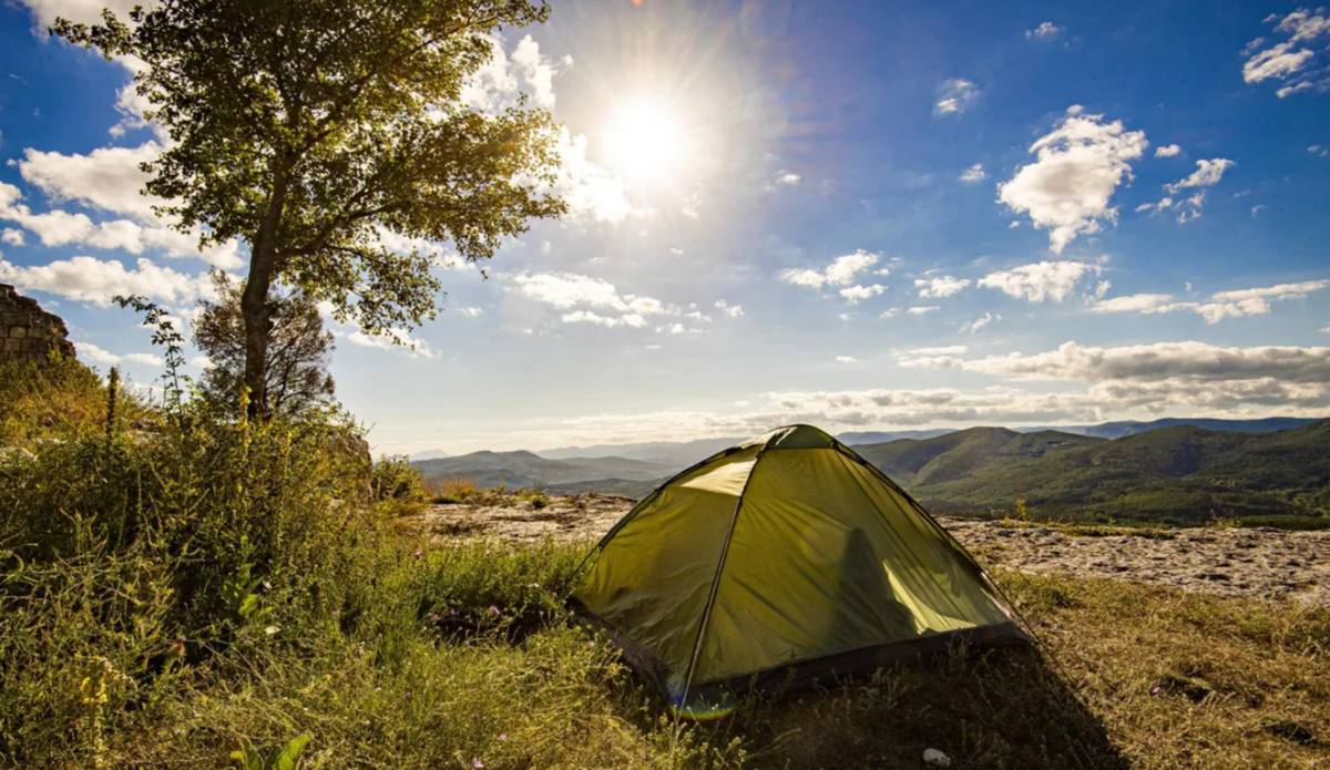 Фото: Дмитрий Макеев / РИА «Новости»