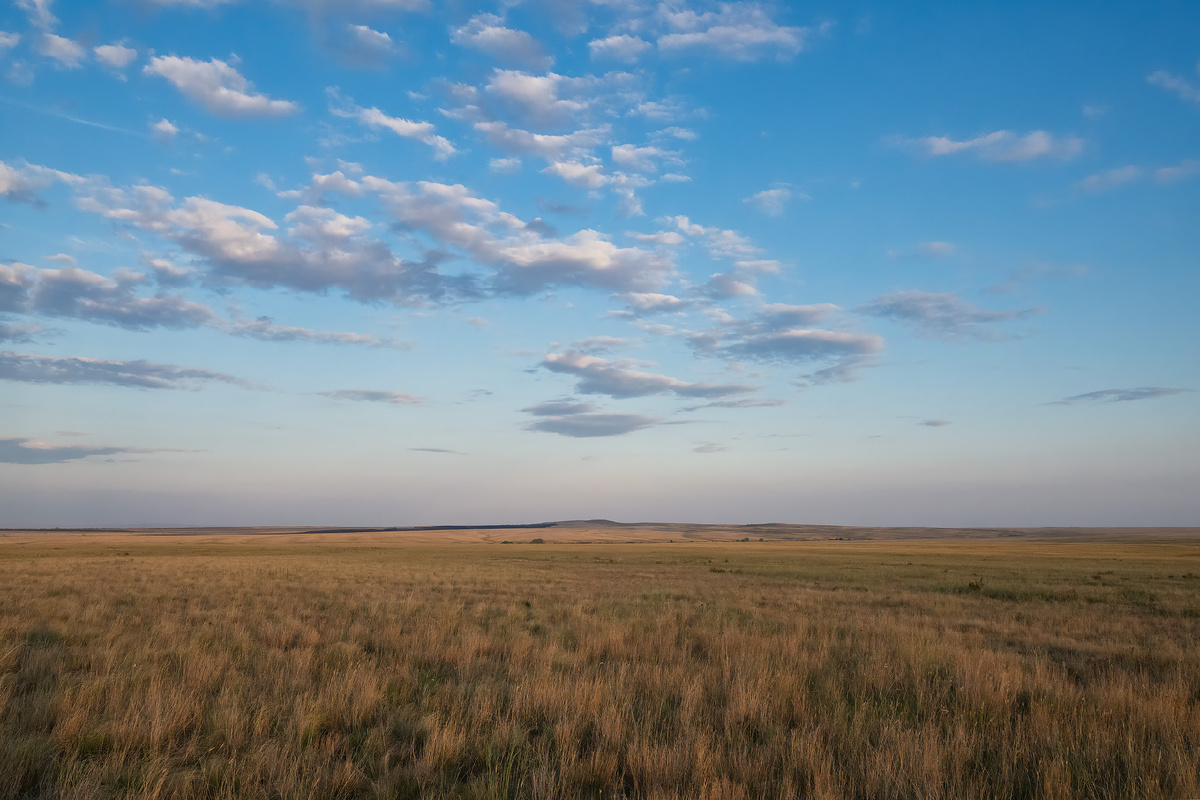 Степь Оренбургского заповедника