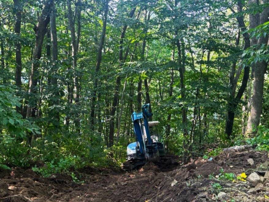    Источник фото: