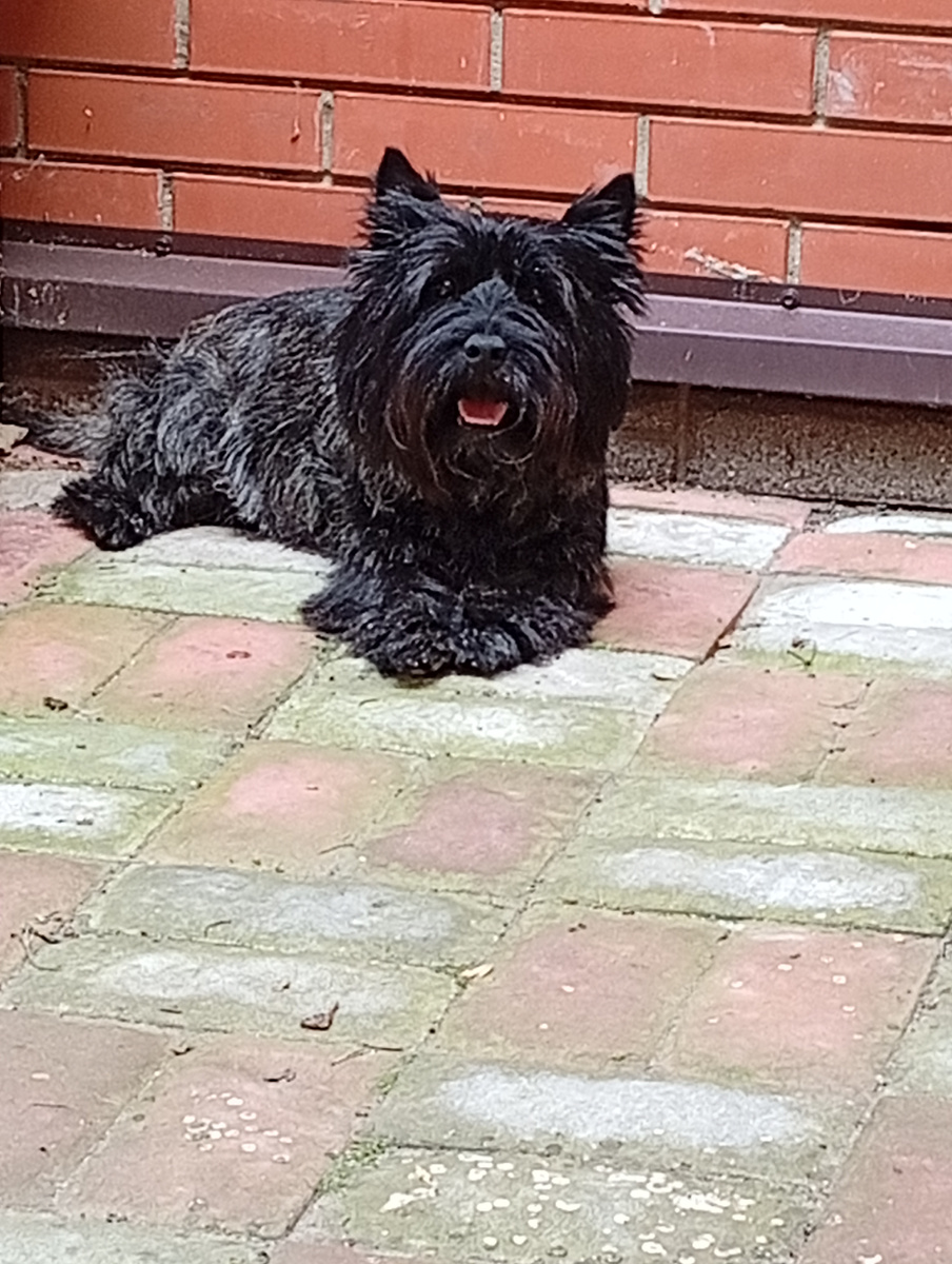 Хорошего дня Вам от Фили