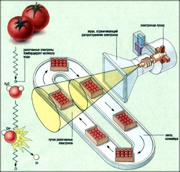 Строение установки для радационного облучения продуктов. Яндекс картинки.