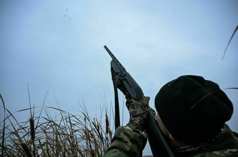   Александр Кряжев/РИА Новости