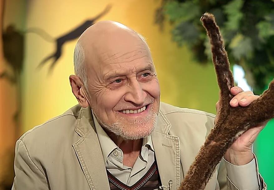    Скриншот из видео передачи "В мире животных". Выпуск №5, 2017 год