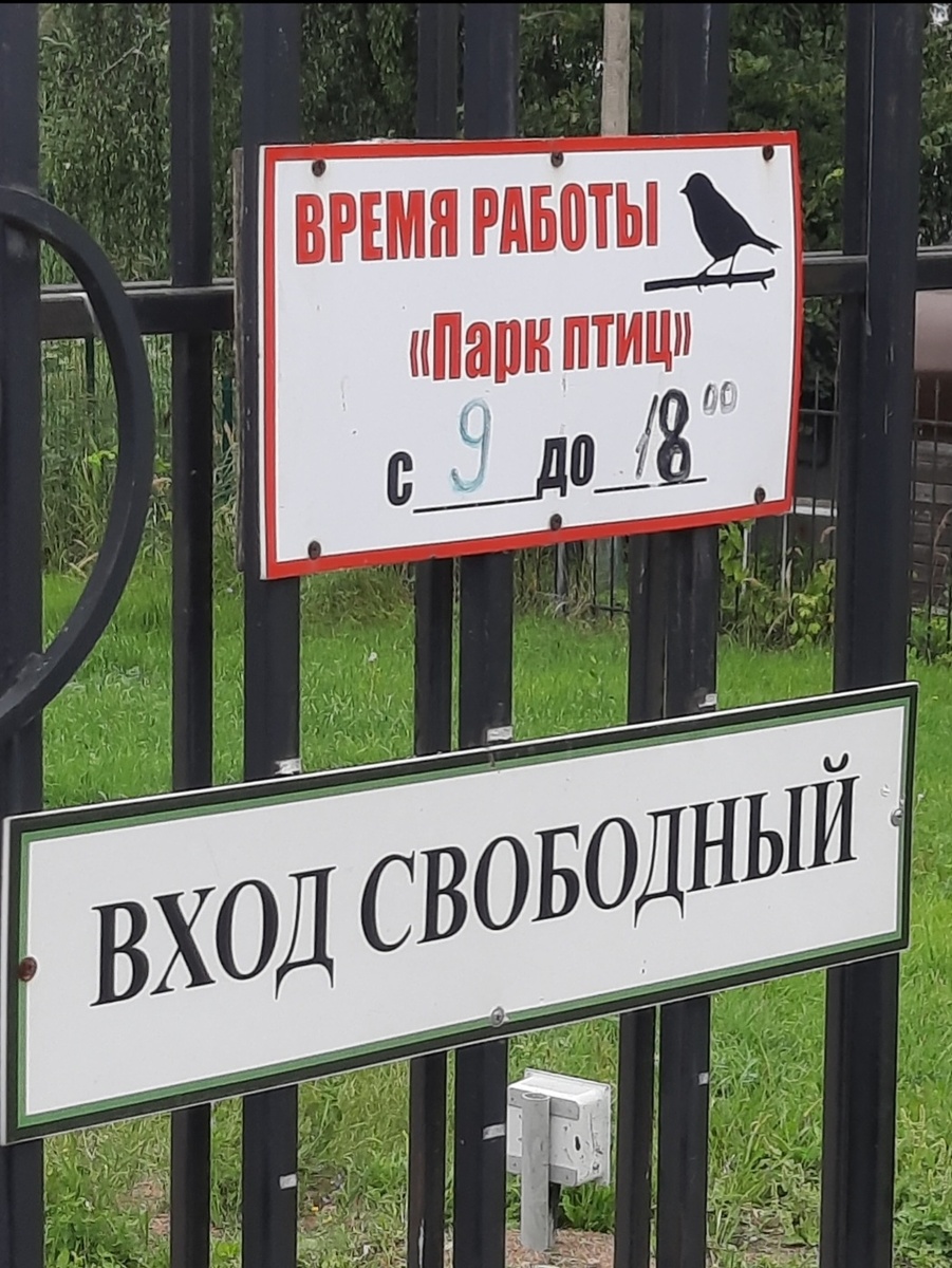 Часы работы. Фото автора 