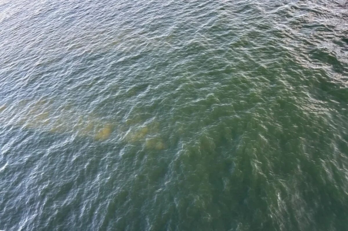    Haber: трекер пропавшего в Босфоре пловца Свечникова подаёт сигнал из воды