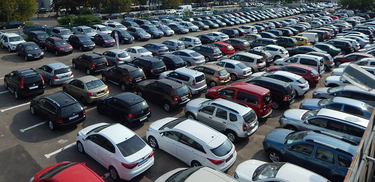 Изображение взято с сайта Яндекс картинки 