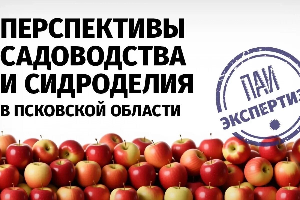    Псковское агентство информации запускает проект «ПАИ. Экспертиза»