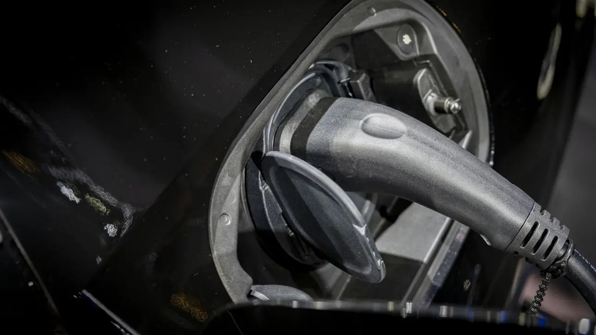 Фото A. Krivonosov  📷
