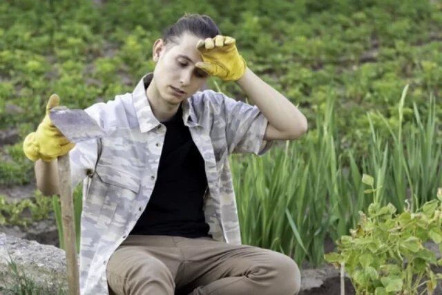    Можно ли работать в огороде с больным сердцем?