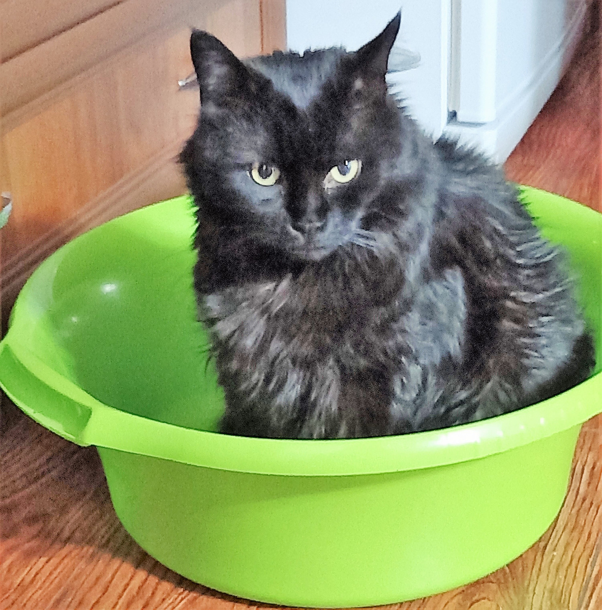 Благодарю за фото НАТАЛЬЮ)