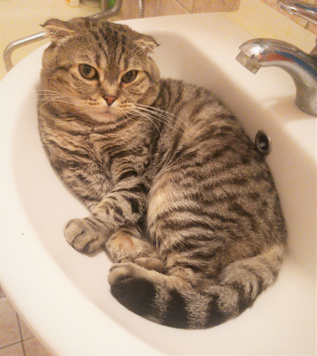 Благодарю за фото Надежду ГРИШИНУ)