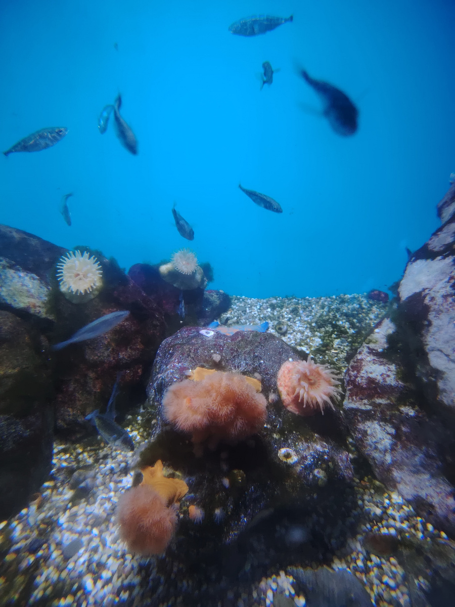 Картинка не по теме, зато красиво