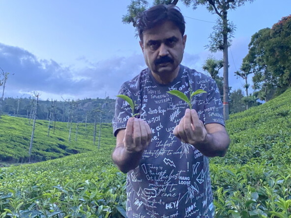 На фото мистер Санджив плантатор из Индии. Наш поставщик.