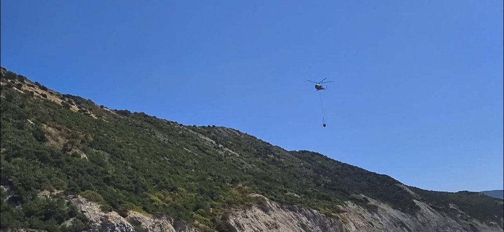    Фото: пресс-служба мэрии Анапы