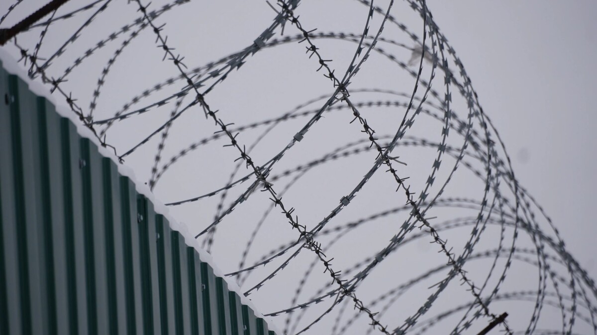    Фото: Юлия Чудинова / «Ямал-Медиа»