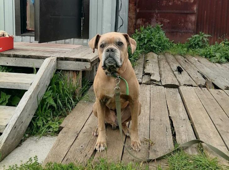    Фото предоставлено сотрудниками музея