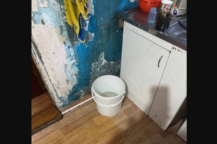 Брат мельком видел, что сестра подползла к ведру, но не придал значения. Фото: прокуратура Омской области