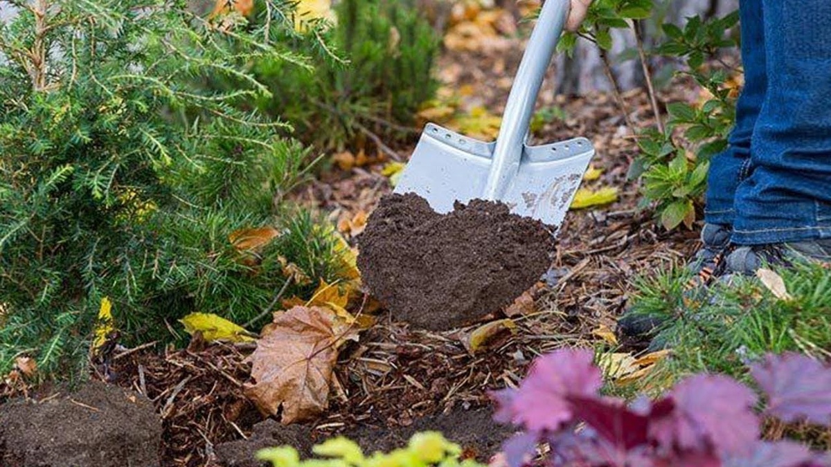 источник: https://granmax.ru/chem-udobryat-osenyu-sad-i-ogorod