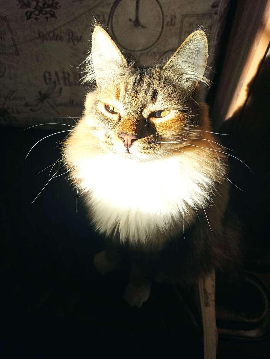 Хитрованка наша)) 