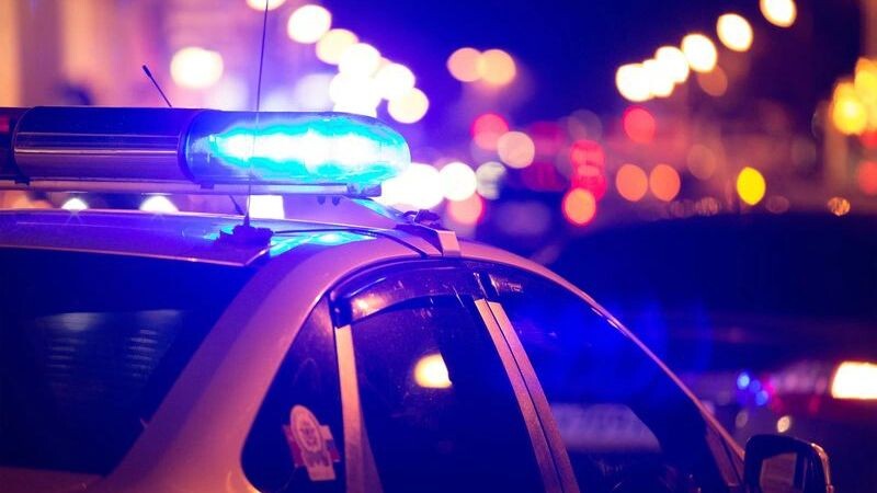    Фото: ArtOlympic/Shutterstock/Fotodom