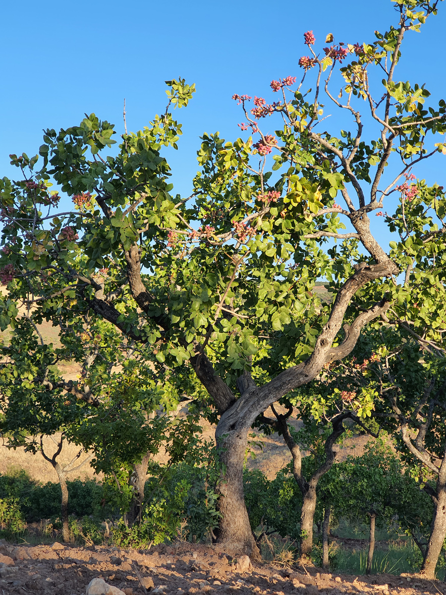 Фото из личного архива
