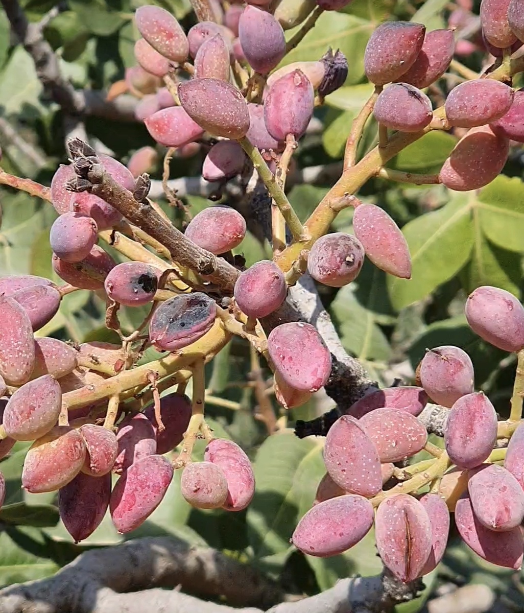 Фото из личного архива