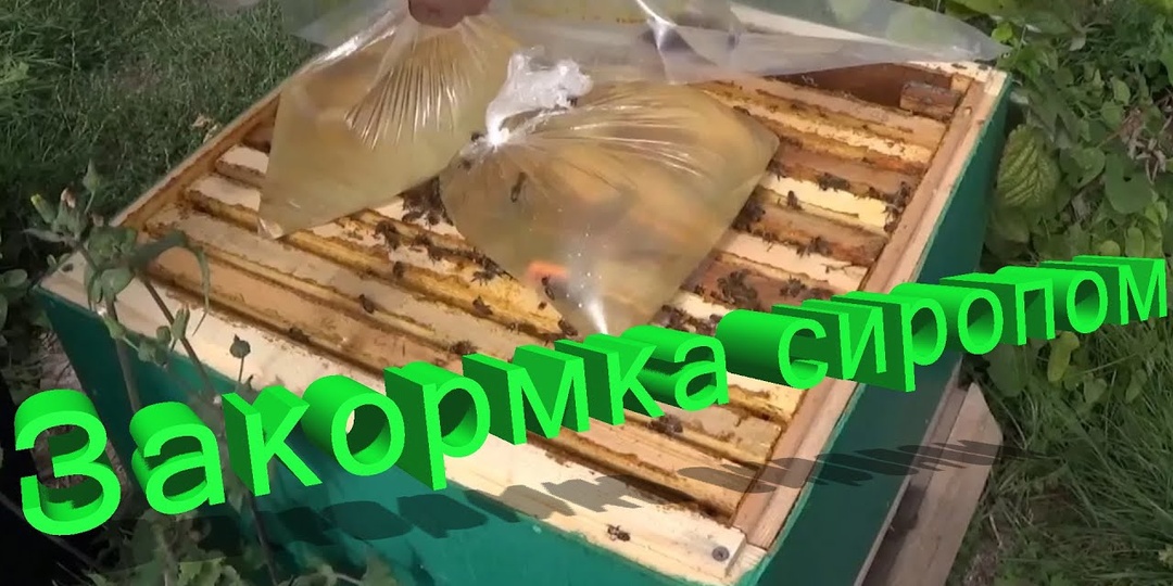 Зачем матерый пчеловод Кашковский сыпет пчелам сахар в зиму? Вы удивитесь