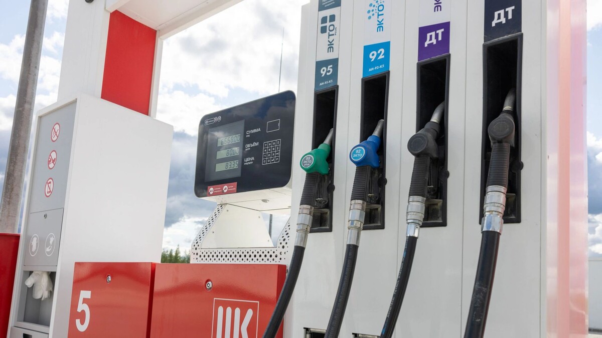    Фото: Федор Воронов / «Ямал-Медиа»