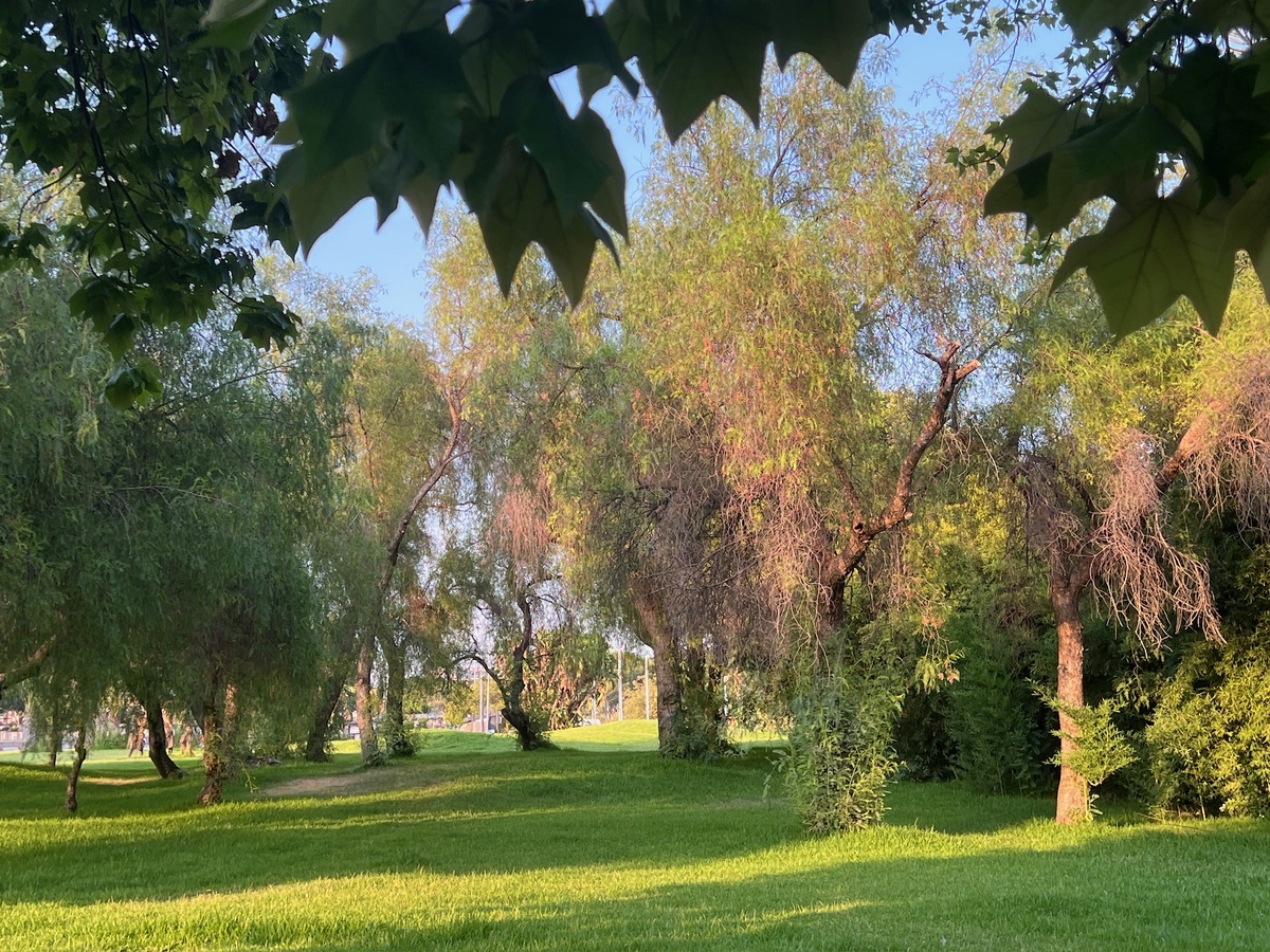 Gündüz Otel | Отель в Турции