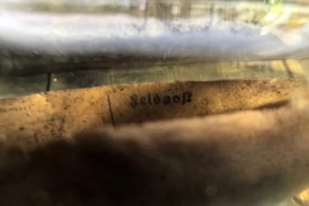    Бутылку с запиской на немецком языке обнаружили в Псковской области