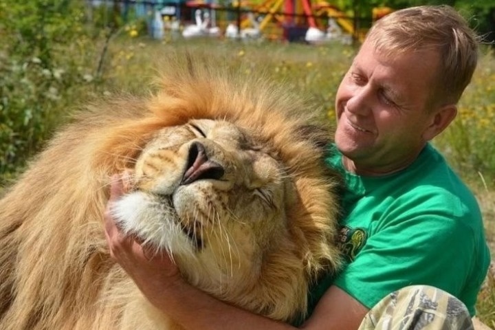 Олег Зубков нашел общий язык с царями зверей. Фото: Тайган/Vk