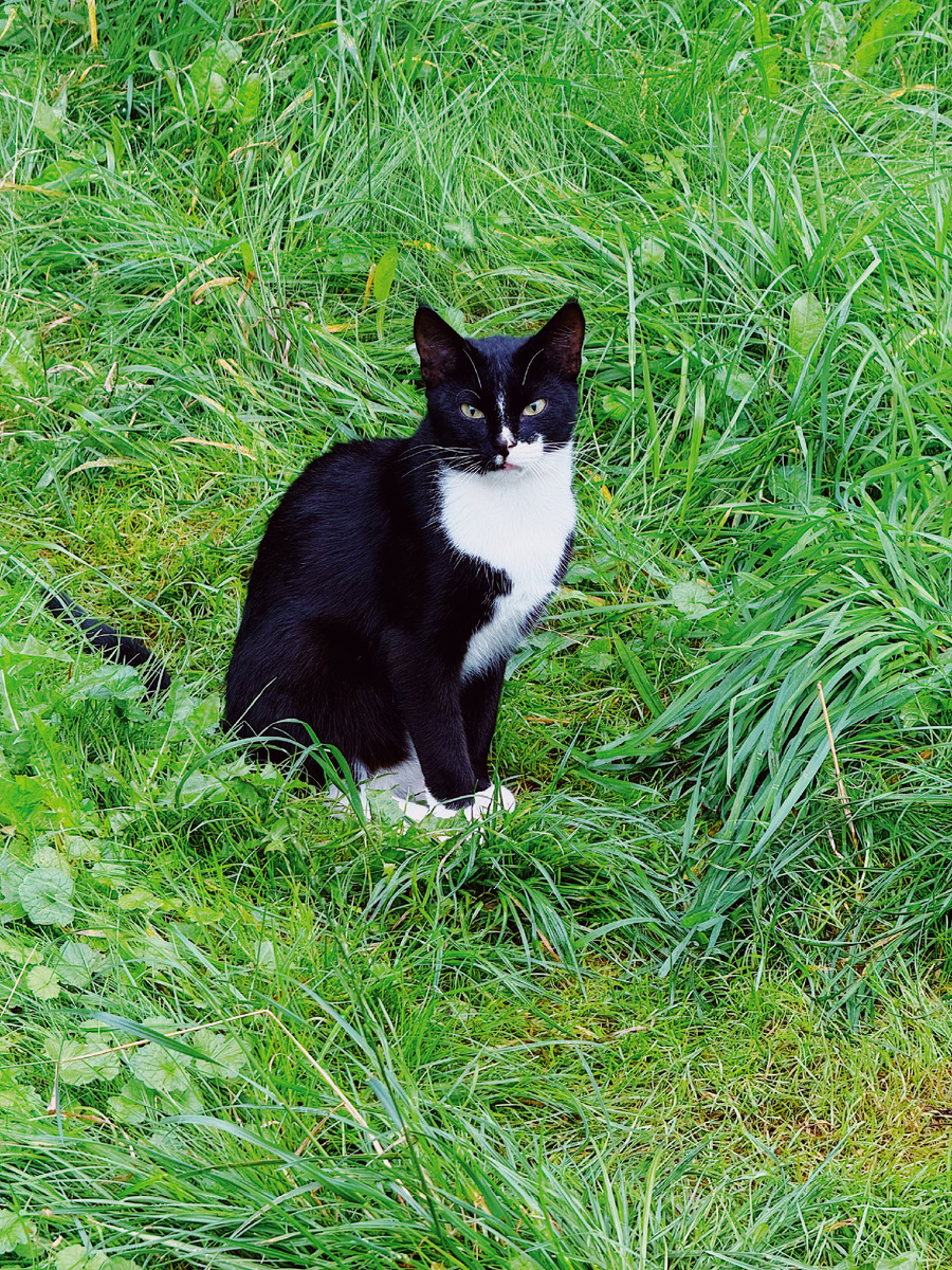 Автор: Алексей Моисеев / @partyzzzan