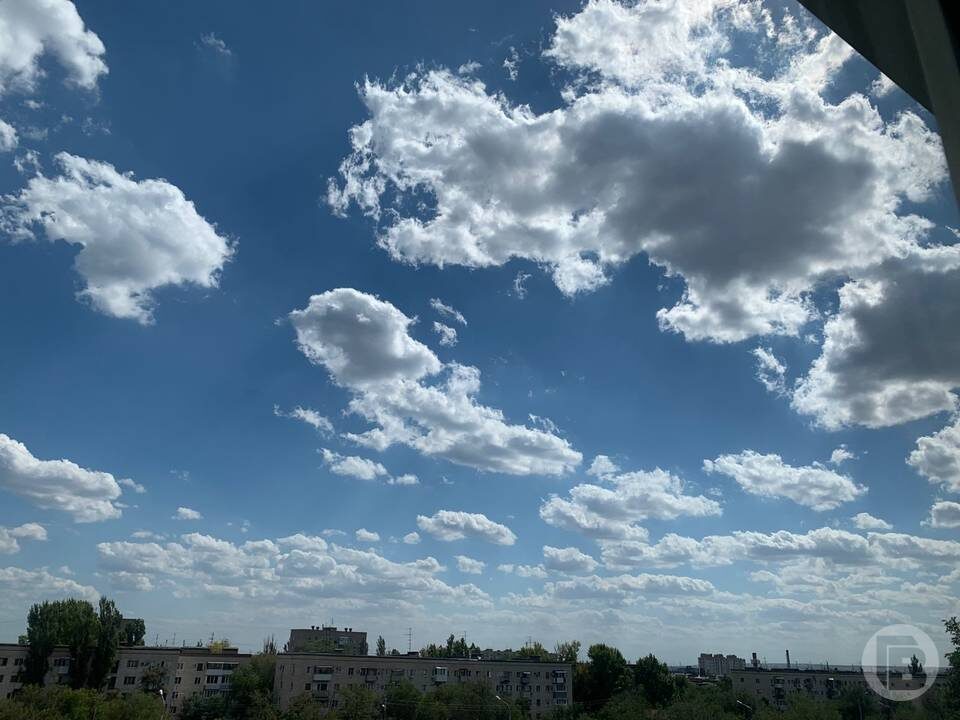    Фото: "Городские вести"