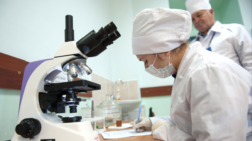    Фото: © РИА Новости/Таисия Воронцова; 5-tv.ru